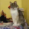 Отзыв от Вероника Глебова